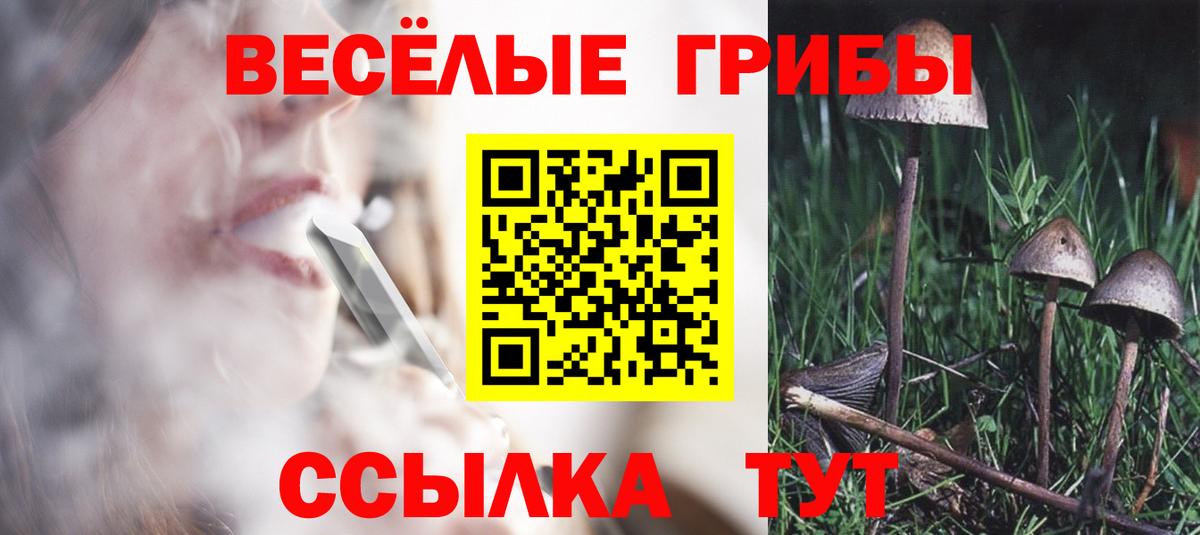 Псилоцибиновые грибы Psilocybine cubensis Мурманск