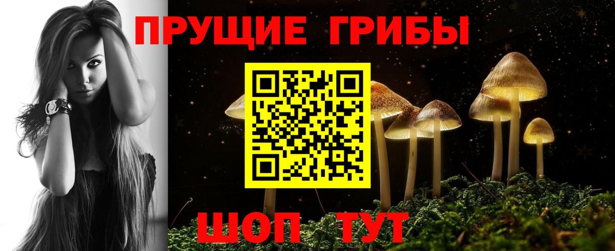 Мурманск  Псилоцибиновые грибы Magic Shrooms  Псилоцибиновые грибы прущие грибы  Вход с VPN 